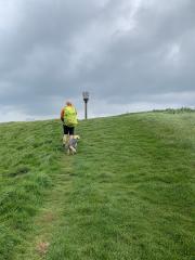 Heading up to Thorncombe Beacon
